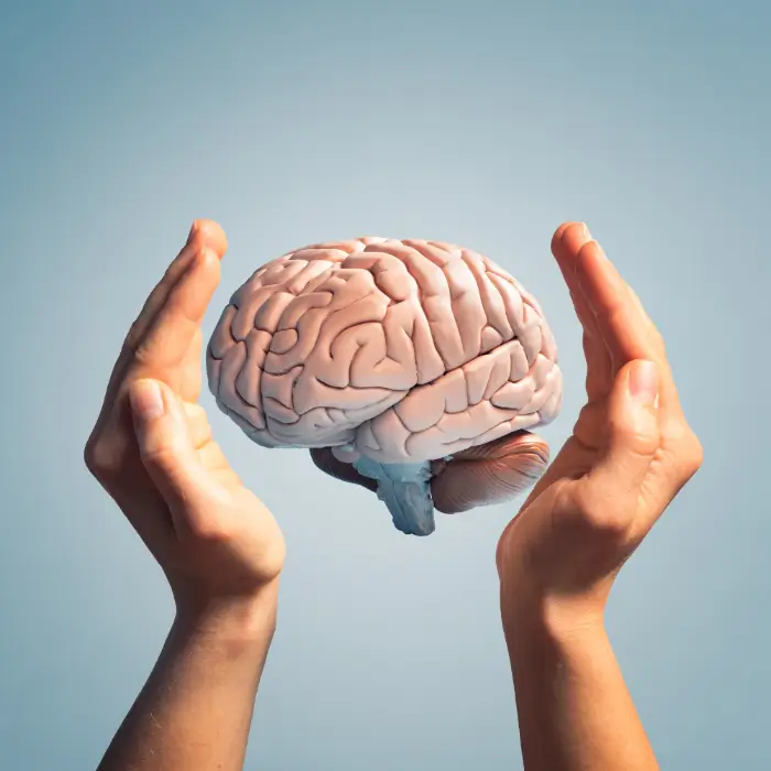 Two hands holding a brain, symbolizing Lisa Deguillaume’s approach to psychotherapy and mental well-being.
